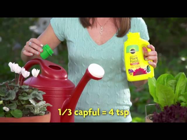 How to Use Miracle-Gro® Liquid All Purpose Plant Food Concentrate