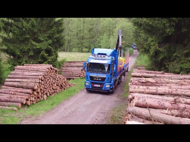 Hiab HiVision – Holzverladung mit der Virtual Reality Brille