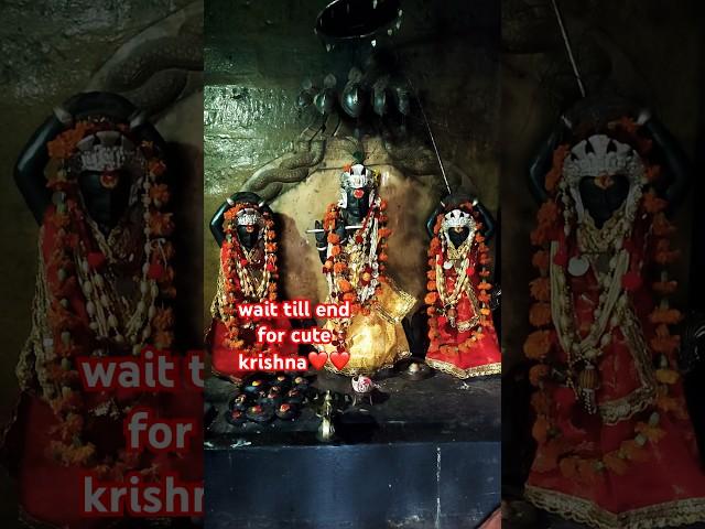 nepali people celebrating shree krishna janmaasthami 2080|||️️️️️#nepalhunt