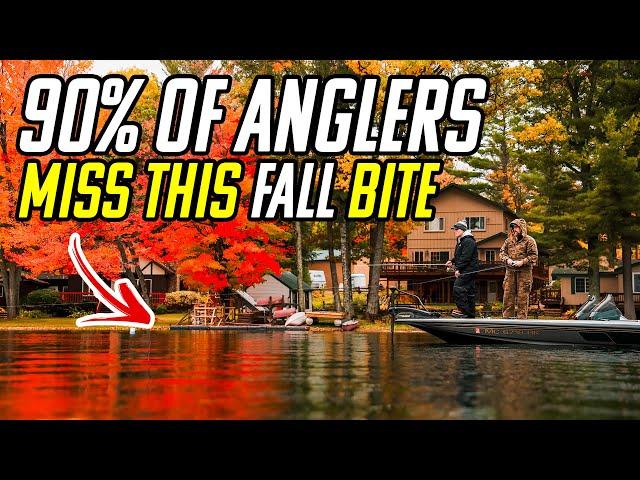 Don't Miss The BEST Fall Smallmouth Bite