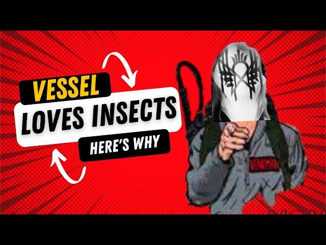 Why Is Vessel Obsessed with INSECTS?