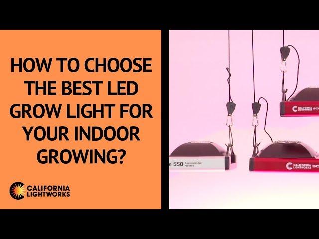 How to choose the best LED grow light for my indoor growing? - FAQ