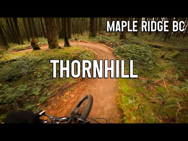 Back at it? - Thornhill Mountain Biking