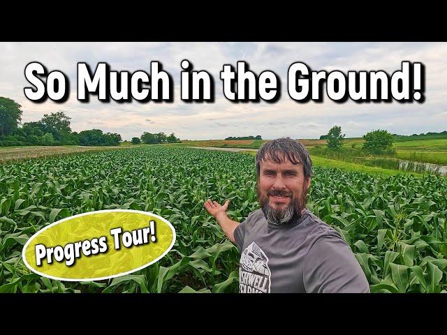 Crop Progress Tour: Fields, Greenhouses & Cantaloupe Planting