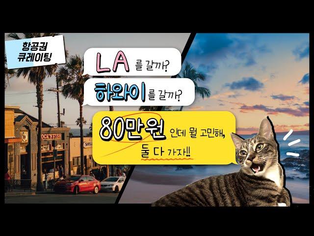 [항공권 큐레이팅] 하와이를 갈까? LA를 갈까? 80만원인데 뭘 고민해, 둘 다 가자구!