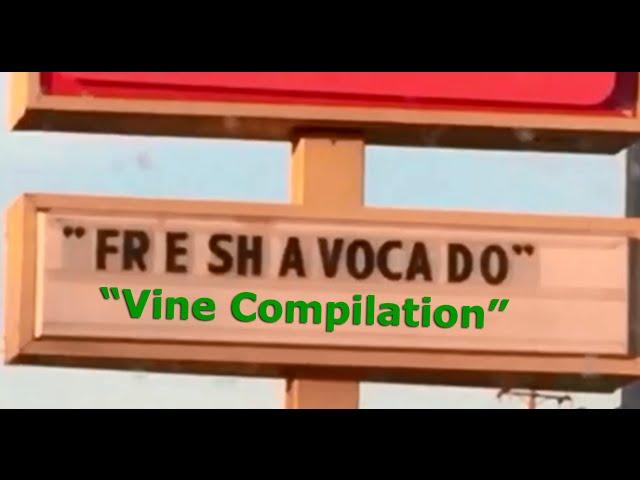 FR E SH A VOCA DO Vine Compilation - Fresh Avocado FreshAvocado Trend Vines Try Not To Laugh RIP