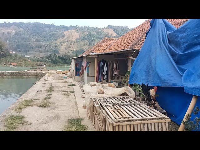 native people of village || explore the steep roads in exotic villages Indonesia