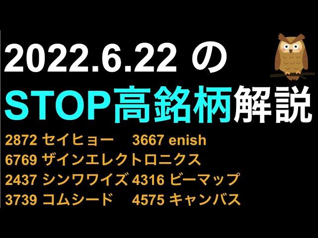 2022/6/22 ストップ高株解説！セイヒョー,enish,ザインエレクトロニクス,シンワワイズ,ビーマップ,コムシード,キャンバスがSTOP高！