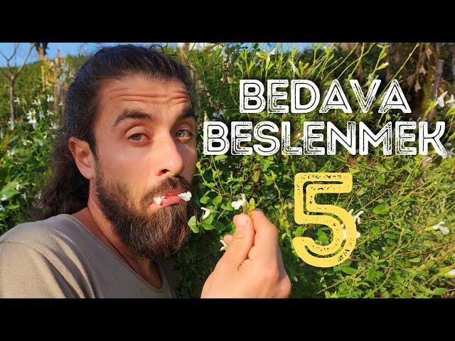 BİR GÜN BOYUNCA BEDAVA BESLENMEK 5 | "HASAT VAKTİ"