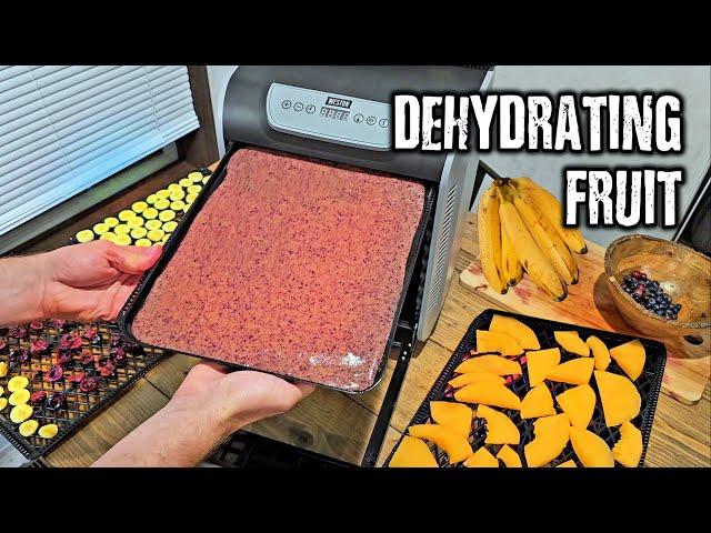 Making Fruit Leather and Dehydrating other fruits with my Weston 10 Tray Dehydrator