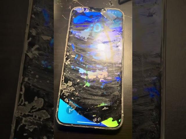 ECDiy Honest Review - DO NOT BUY until you watch this video! Expert Cell DIY
