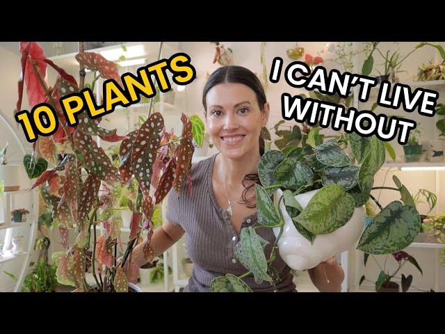 10 Indoor Plants I Can't Live Without - Favorite Houseplants