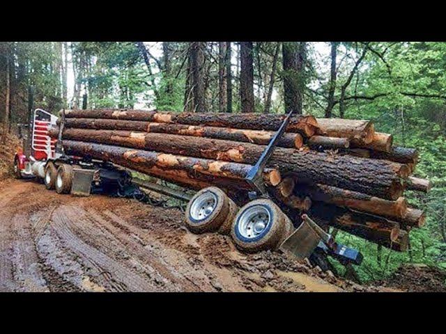 Extreme Dangerous Huge Wood Logging Truck Driving Skill, Amazing Heavy Equipment Operator Truck