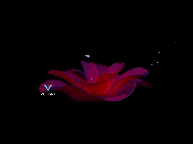 Cùng Ngắm Nhìn Sản Phẩm Flower Animation Đến Từ Vietart Productions | Vietart Productions