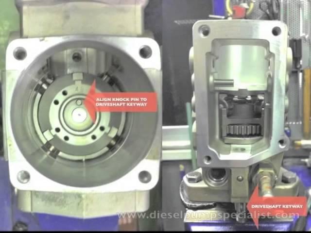 VE Pump Assembly