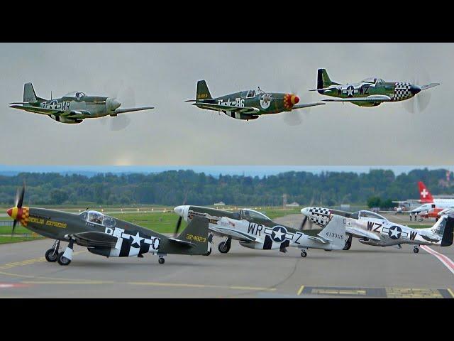 SPECTACULAR P-51 Mustang TRIO: Engine Roar, Aerobatics & Low Passes at Bern in Switzerland!!