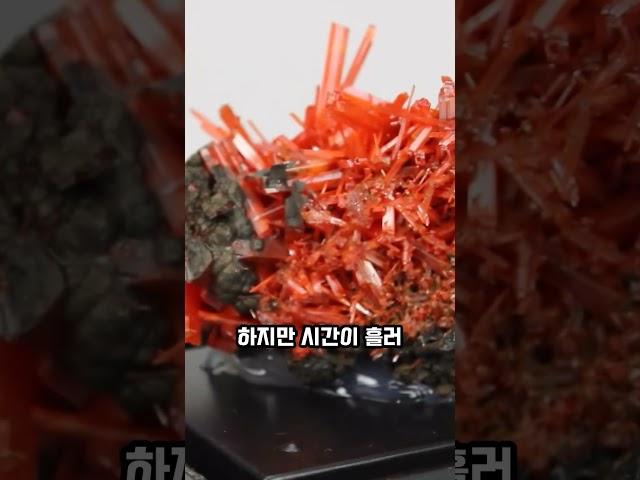 놀랍도록 아름답지만 치명적인 물질