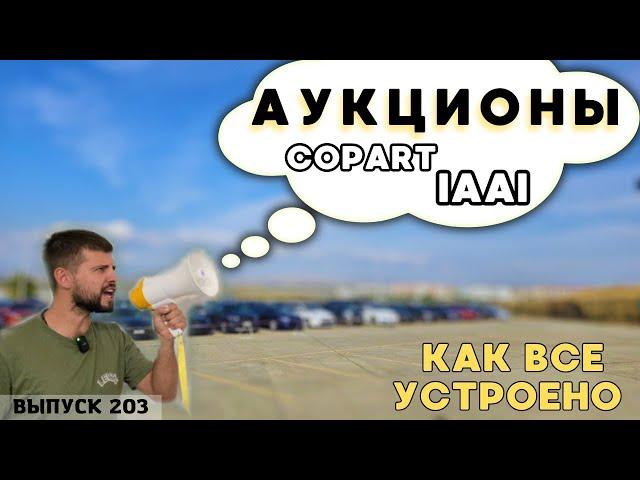 РАСКРЫЛ все КАРТЫ про Аукционы США и Канады. IAAI или Copart? #mastervadya #automobile #top #spb