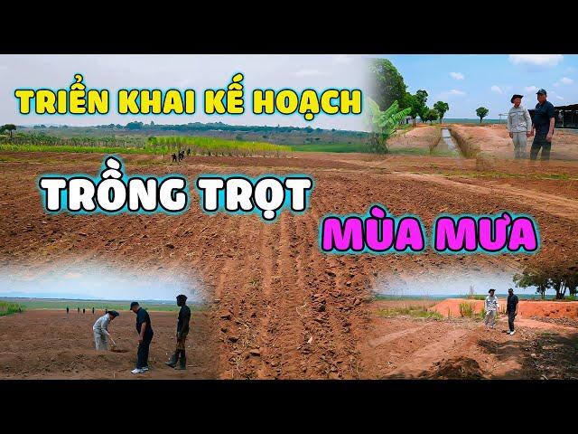 Quanglinhvlogs || Triển Khai Kế Hoạch "Trồng Trọt" Vào Mùa Mưa.