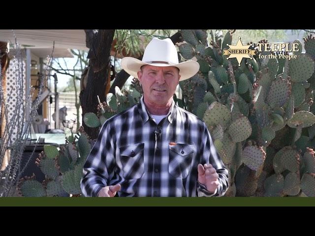Invasion on our southern border.