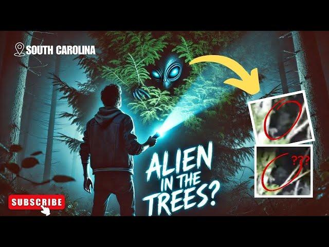 South Carolina Tree Creature Caught on Camera: What Is It? We May Have Solved It!