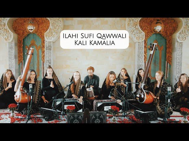 Kali Kamalia by Women's Sufi Qawwali Ensemble Ilahi 4K