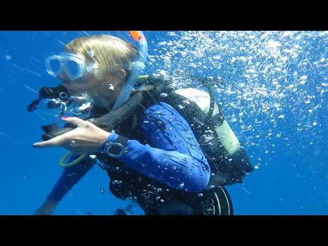 Diving in Gozo - P31 Wreck Dive