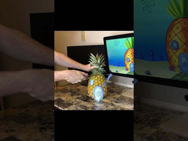 Check out the full video on my YouTube channel #spongebob #pineapple #youtube