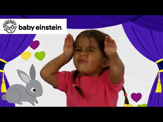 Learn to Dance with World Animals | New Baby Einstein Classics | Toddlers Learning | Kids Music