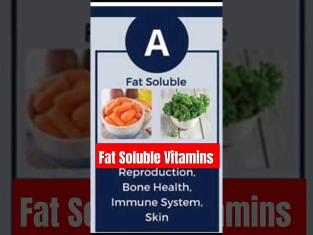 Fat Soluble Vitamins #fat #vitamins #exam