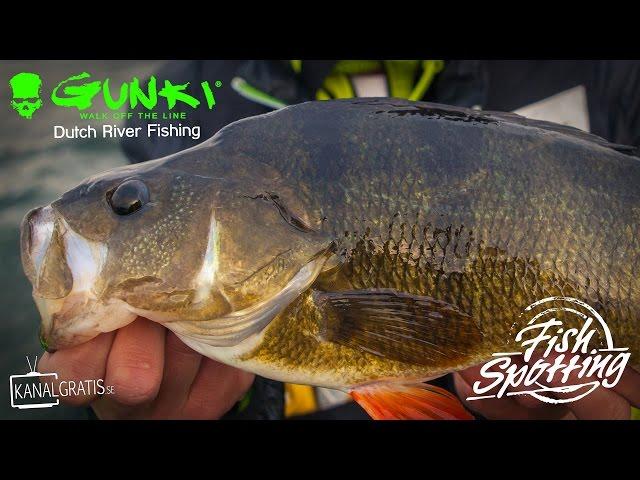 Gunki TV - Dutch River Fishing - Fish Spotting (French Subtitles)