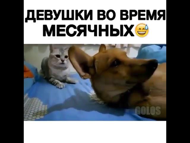 Девушки во время месячных