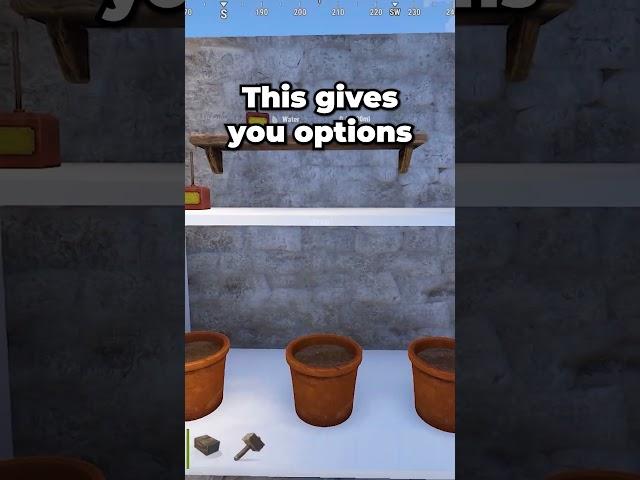 We Have Finally Got Shelves in Rust!  #rust #rustupdate #rustnews #rustshorts #rustpc #ruststaging