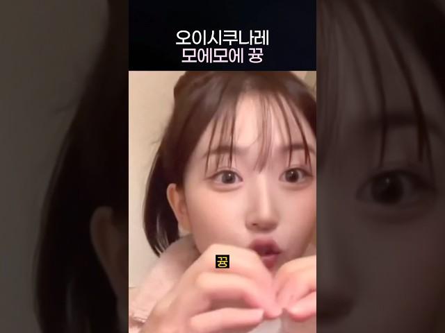 [엔믹스] 모에모에 뀽