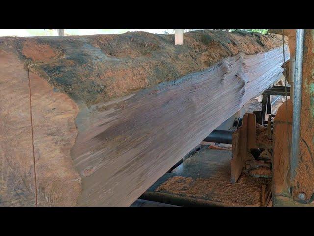 5m long keruing wood was sawn with a bandsaw