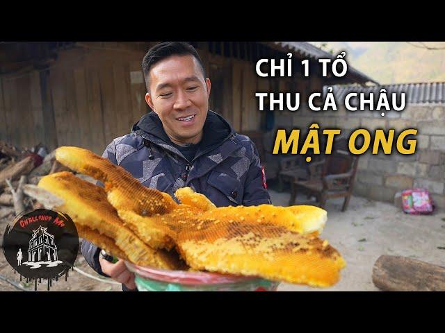 Độc đáo “mật ong phân bò” trên núi cao