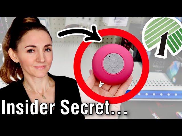 33 Weird but Genius Dollar Tree Finds you SHOULD be Buying (Dollar Tree Hacks + Beat Amazon)