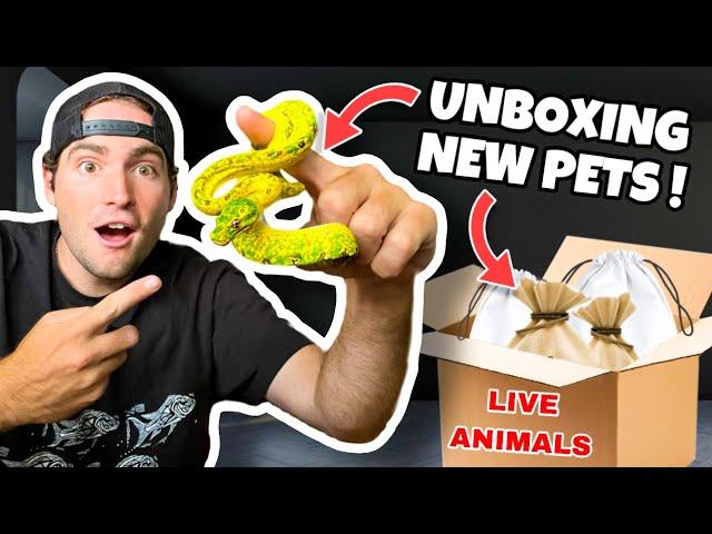 UNBOXING NEW EXOTIC PETS ! WHAT DID WE GET ?!