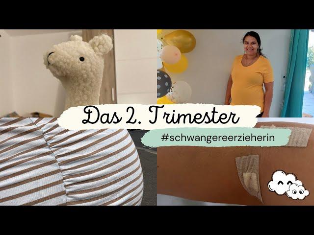 2. Trimester mit Zwillingen! Die Zeit rennt... | #schwangereerzieherin | Mamiwölkchen