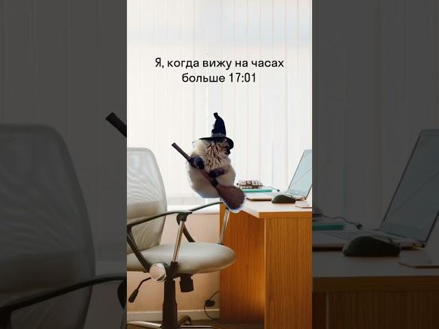 Правильно, пора отдыхать 