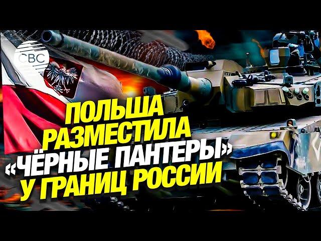 Польша разместила «Чёрные пантеры» у границ России