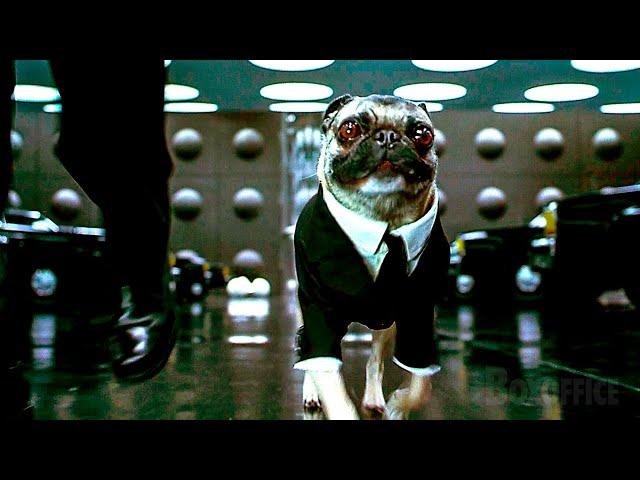 Will Smiths bisher bester Partner | Men in Black 2 | German Deutsch Clip  4K