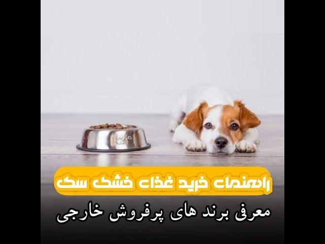 راهنمای خرید بهترین غذای خشک سگ(معرفی پرفروش ترین برندهای خارجی)