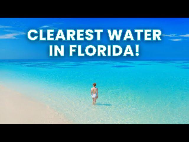 12 Places With The CLEAREST WATER In Florida