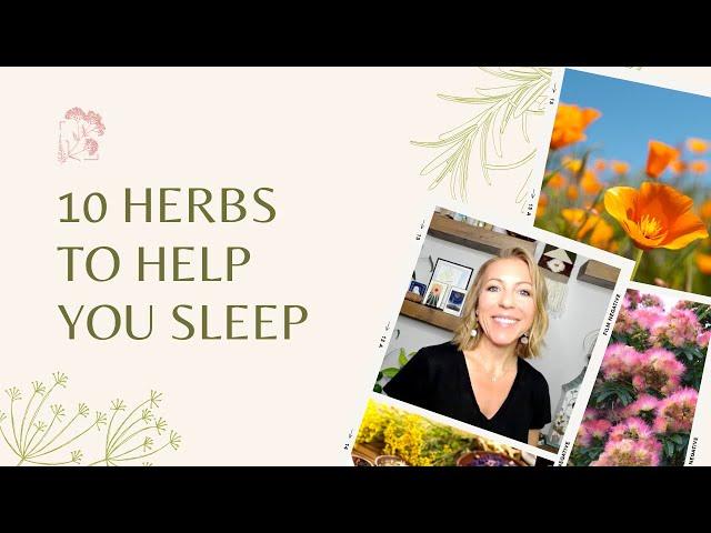 10 Herbs to Help You Sleep