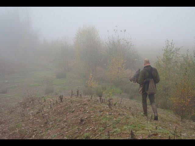 Falconry | Forgotten Footsteps