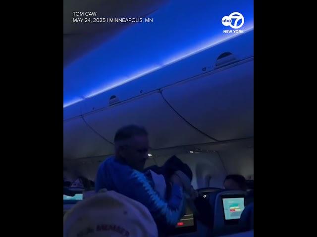 Pigeons cause chaos on flight
