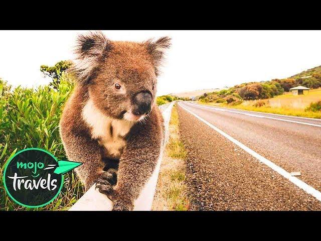 Top 10 Road Trips in Australia