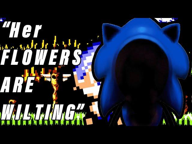 Sonics Most Disturbing Game: Mystery Solved