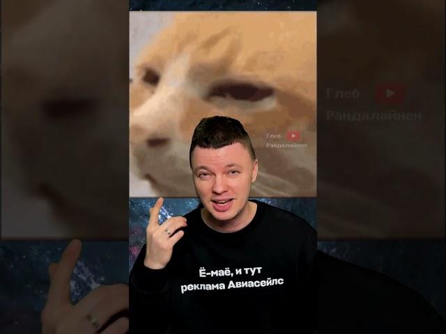 Как Понравиться Любой Кошке? Улыбнуться по-кошачьи 